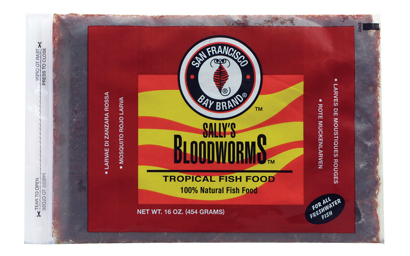 SFBB Bloodworms