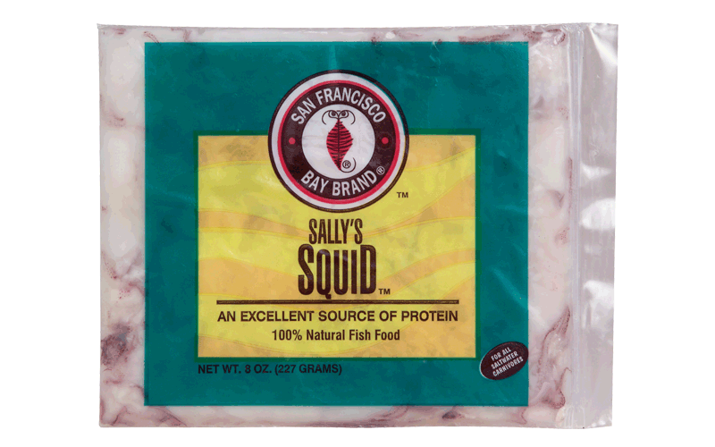 SFBB Squid