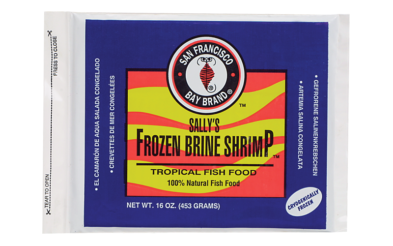 SFBB Brine Shrimp