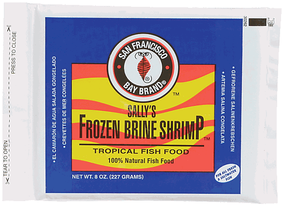 SFBB Brine Shrimp