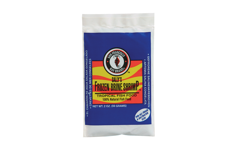 SFBB Brine Shrimp