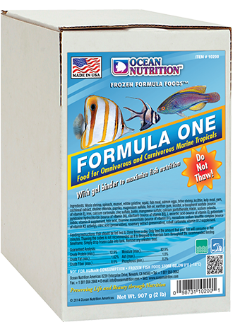 box fish diet Ocean Nutrition
