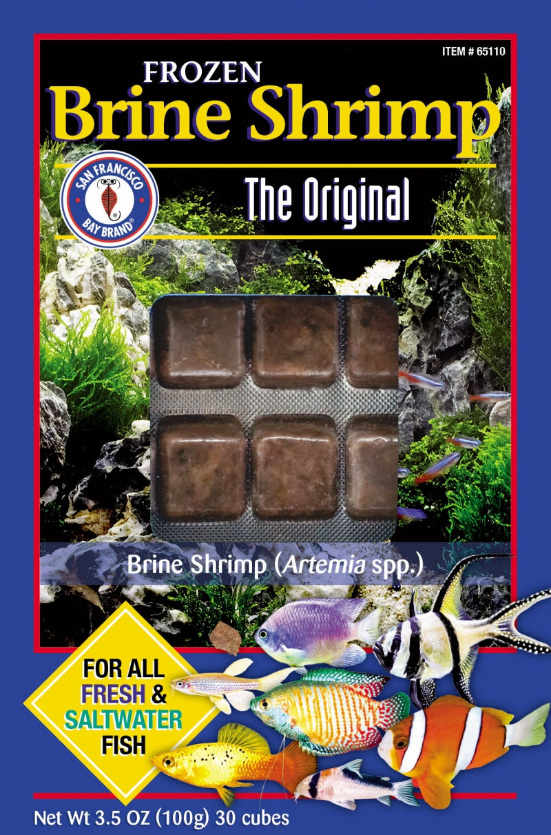 SFBB Brine Shrimp