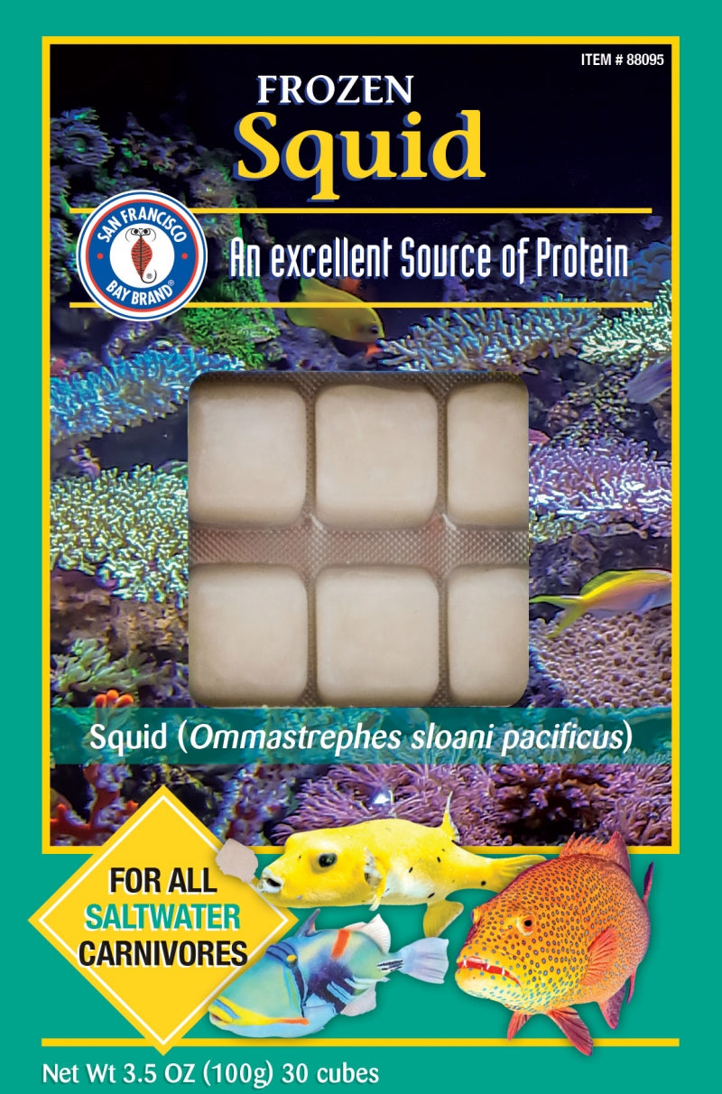 SFBB Squid