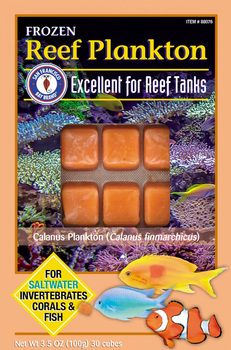 SFBB Reef Plankton