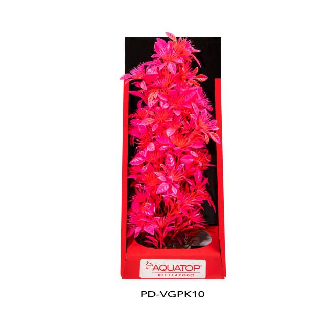 Vibrant Garden Pink Plant