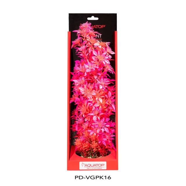 Vibrant Garden Pink Plant