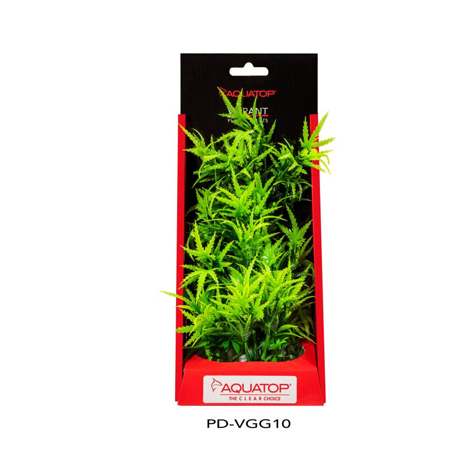 Vibrant Garden Green Plant