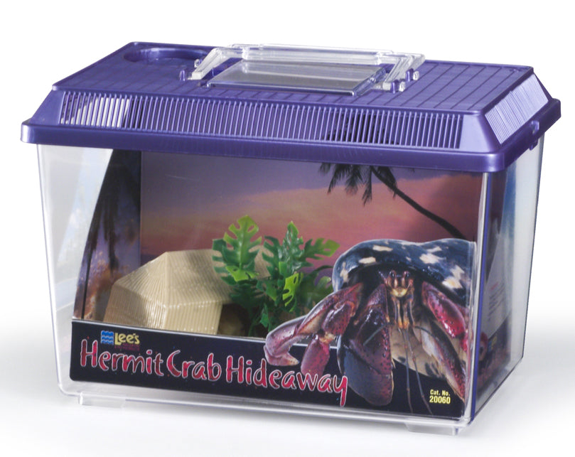 Hermit Crab Hideaway Kit