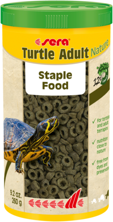 sera Turtle Adult Nature