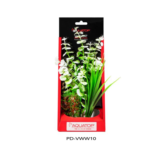 Vibrant Wild White Plant