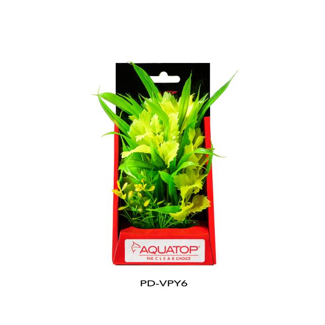 Vibrant Passion Yellow Plant