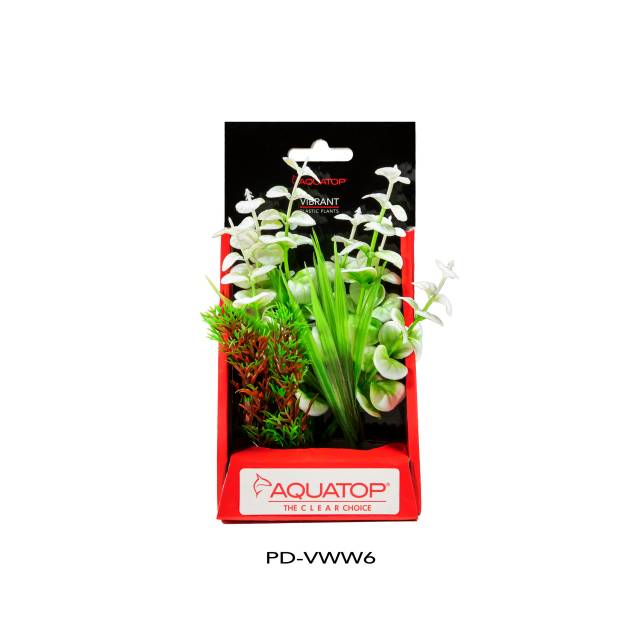 Vibrant Wild White Plant