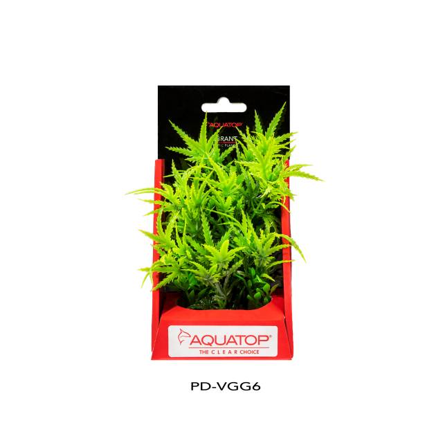 Vibrant Garden Green Plant