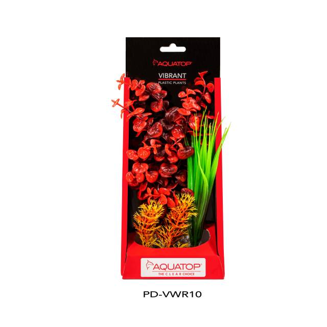 Vibrant Wild Red Plant