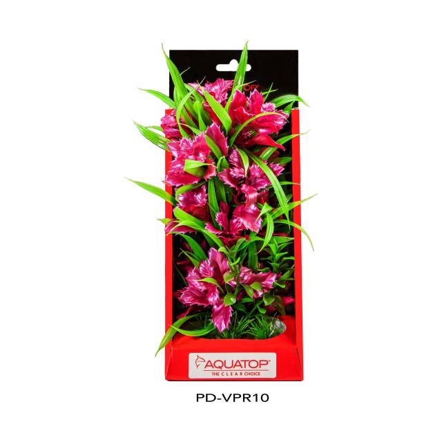 Vibrant Passion Rose Plant