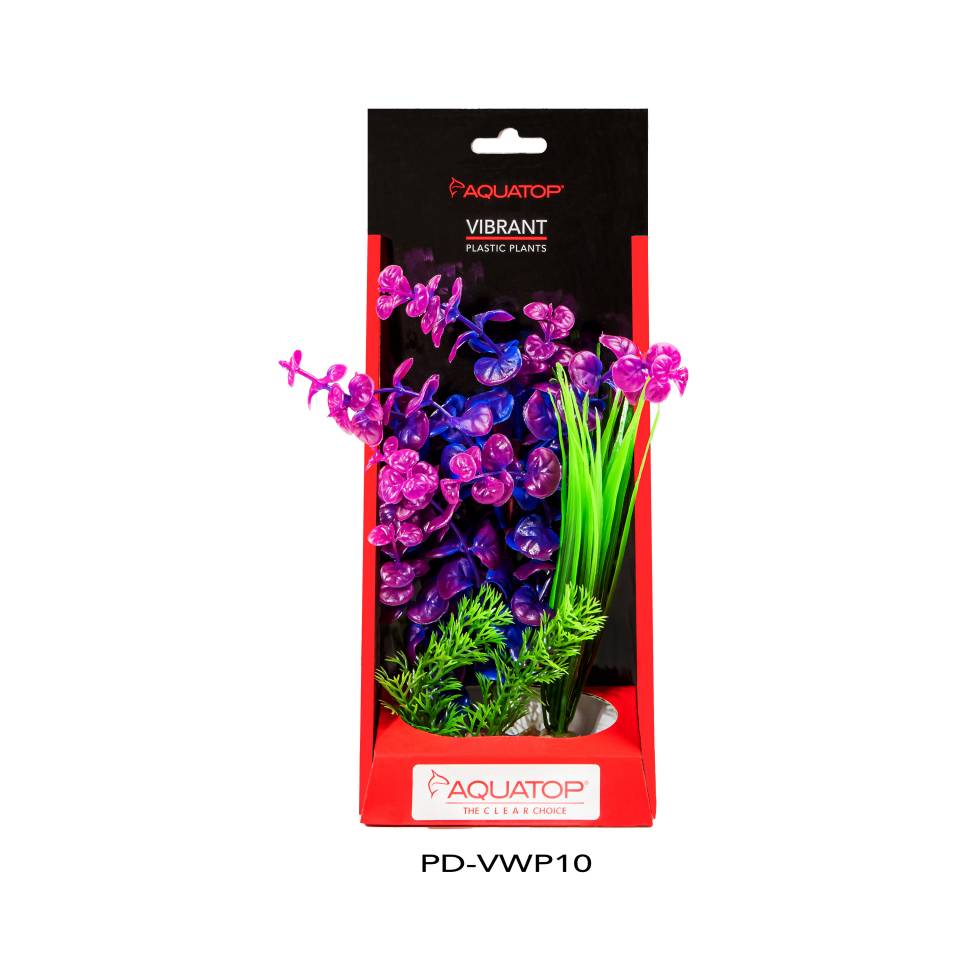 Vibrant Wild Purpleberry Plant