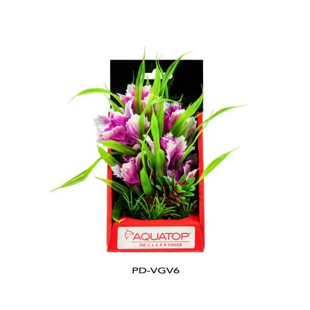 Vibrant Garden Violet Plant