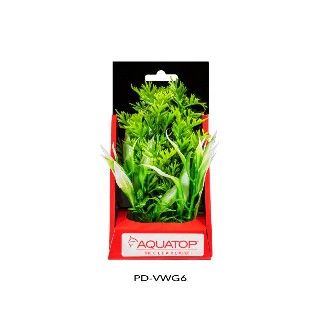 Vibrant Wild Green Plant
