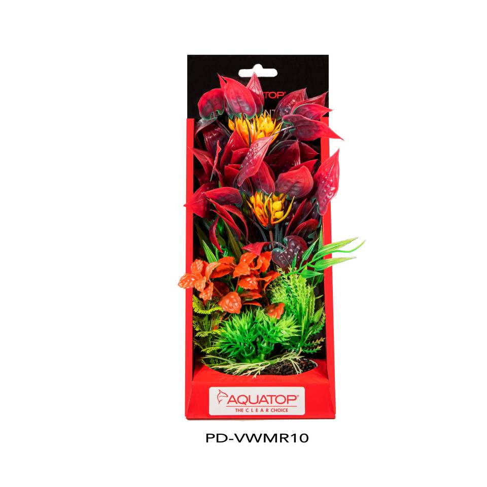 Vibrant Wild Mixed Red Plant