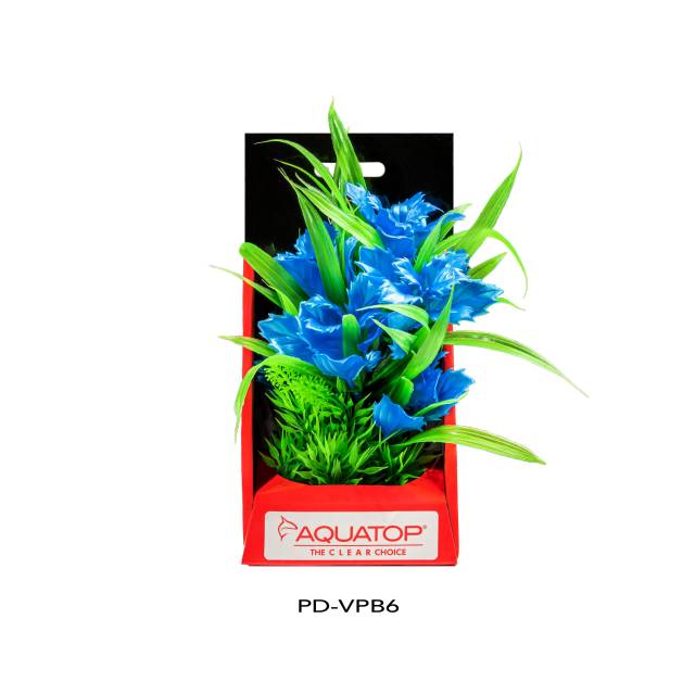 Vibrant Passion Blue Plant
