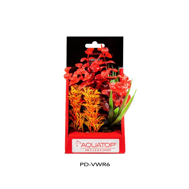 Vibrant Wild Red Plant