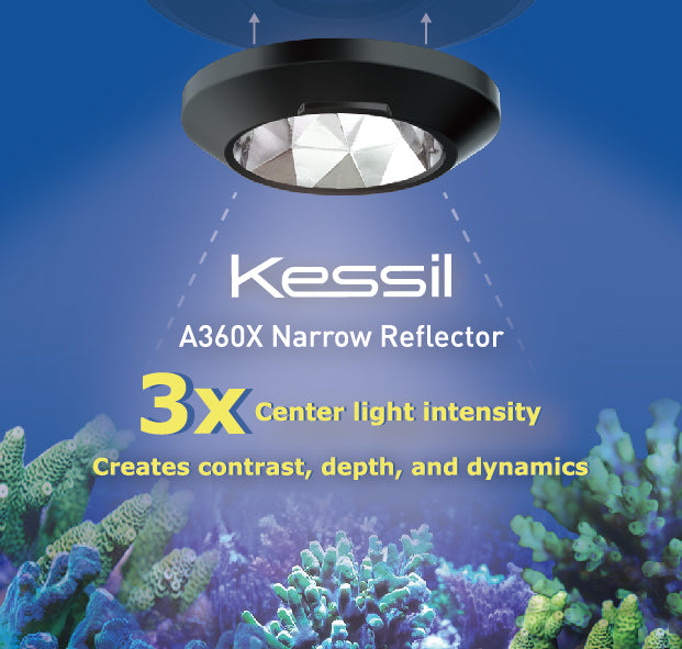 Narrow Reflector-55