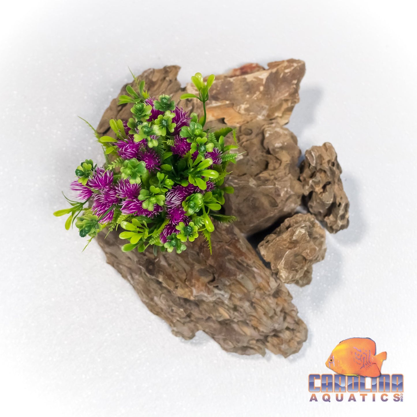 Fresh Water Plant - 31