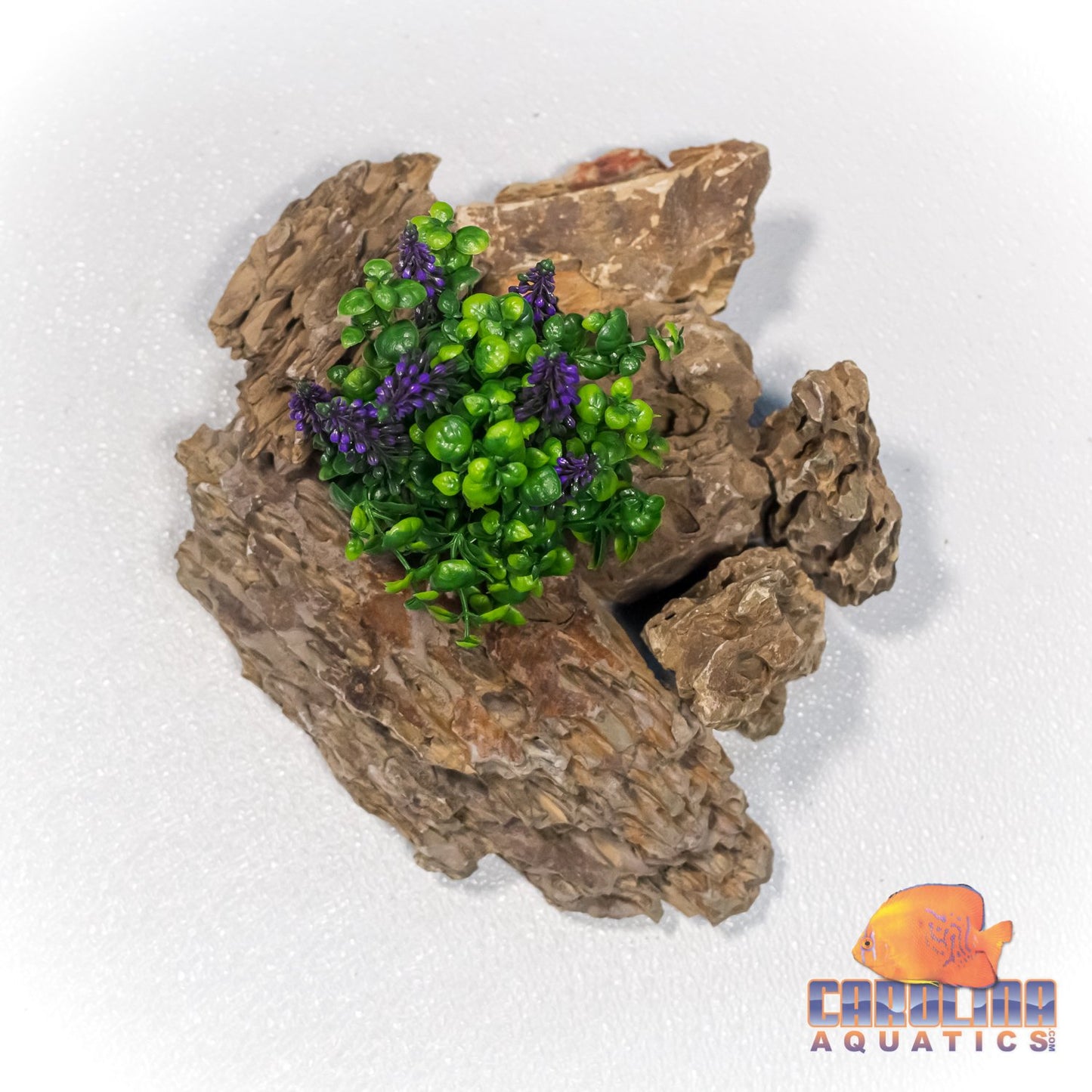 Fresh Water Plant - 47