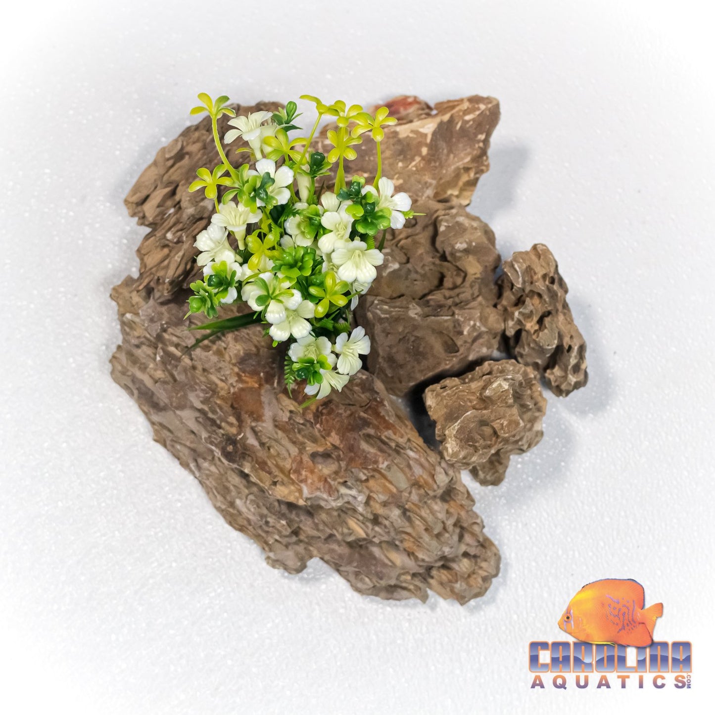 Fresh Water Plant - 55