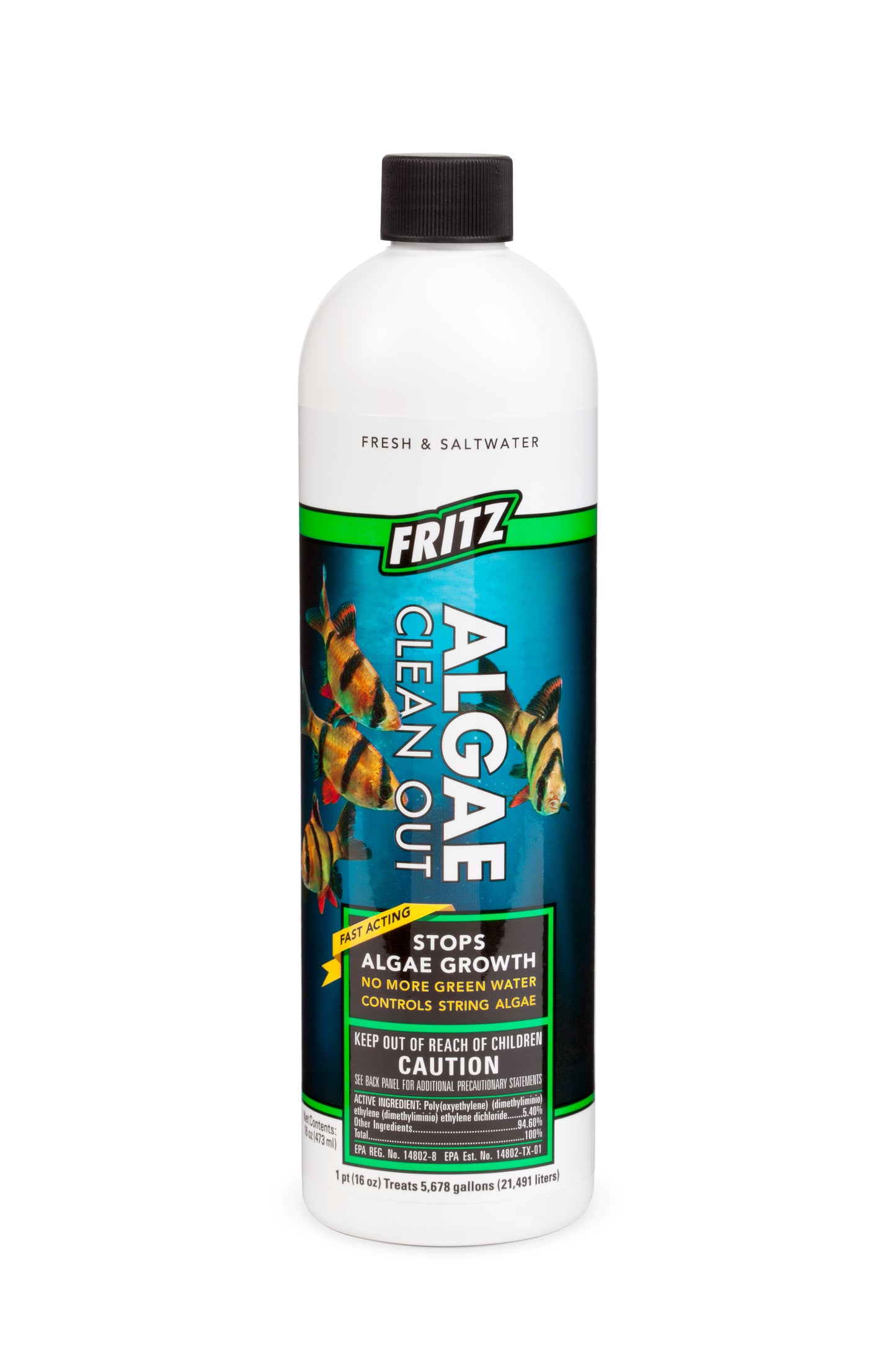 Fritz Algae Clean Out