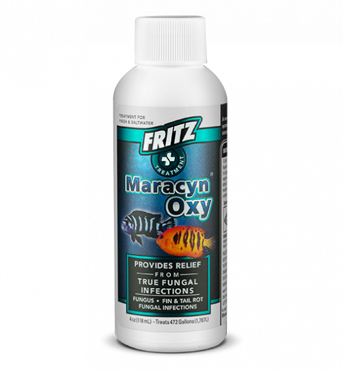 FritzMardel Maracyn Oxy