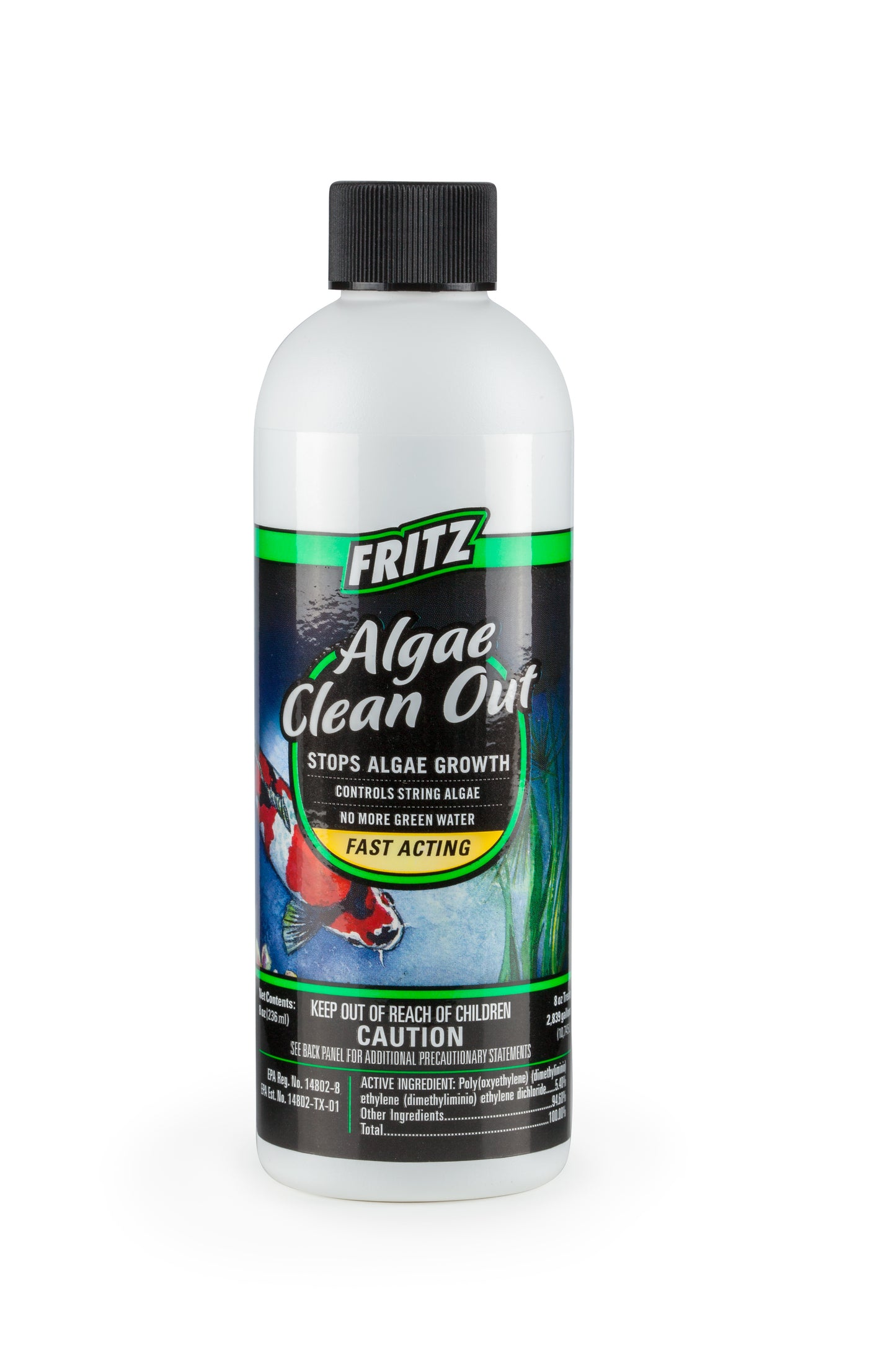 FritzPond Algae Clean Out