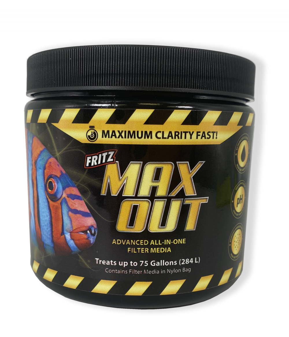 MaxOut