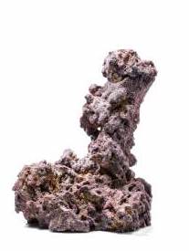 LifeRock Dry Live Rock "Shrooms" 2 Pack