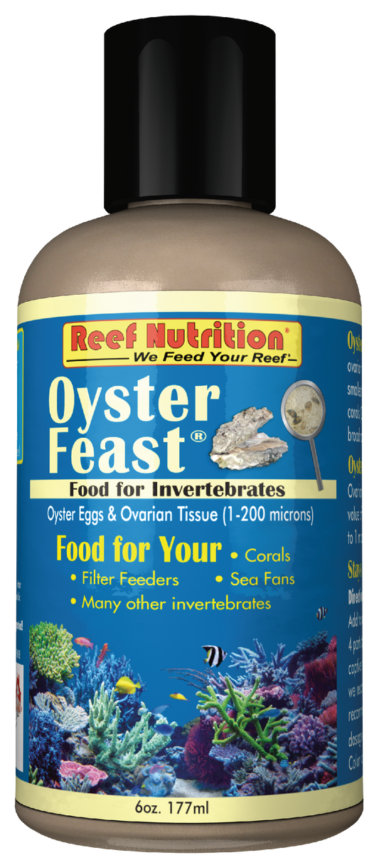 Oyster Feast