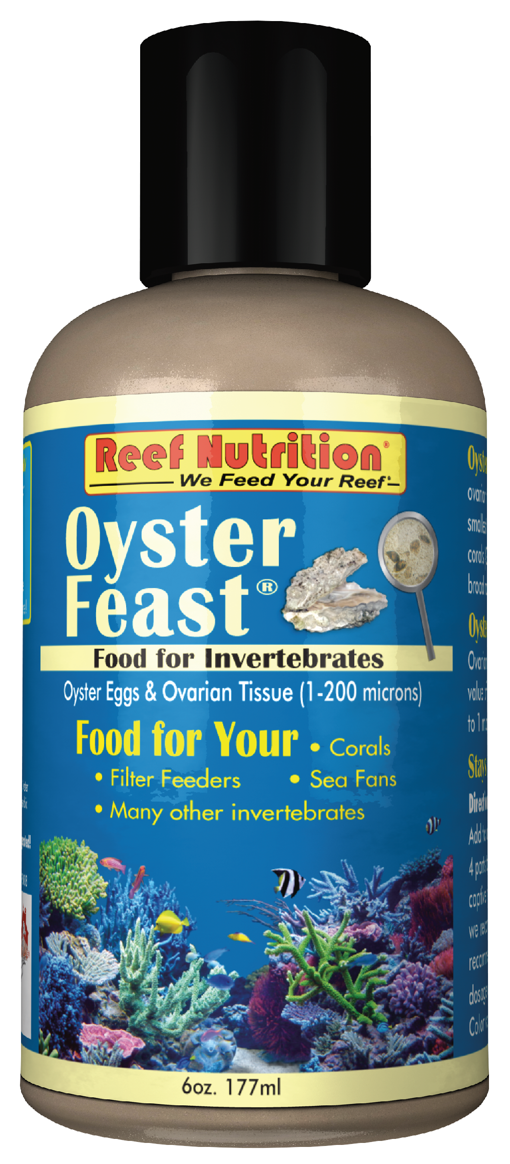 Oyster Feast