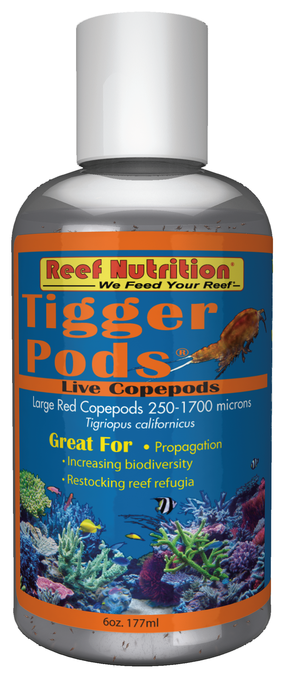 Tigger-Pods Live