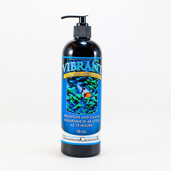Vibrant Reef