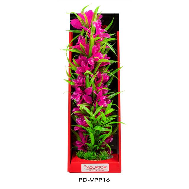 Vibrant Passion Pink Plant
