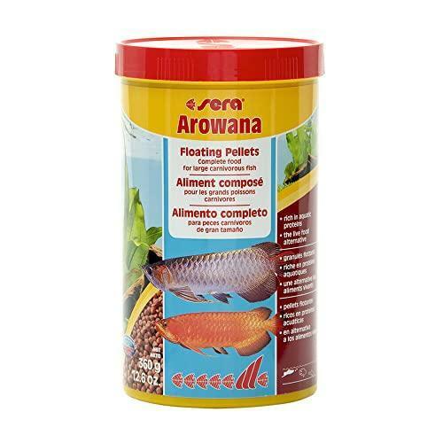 sera Arowana