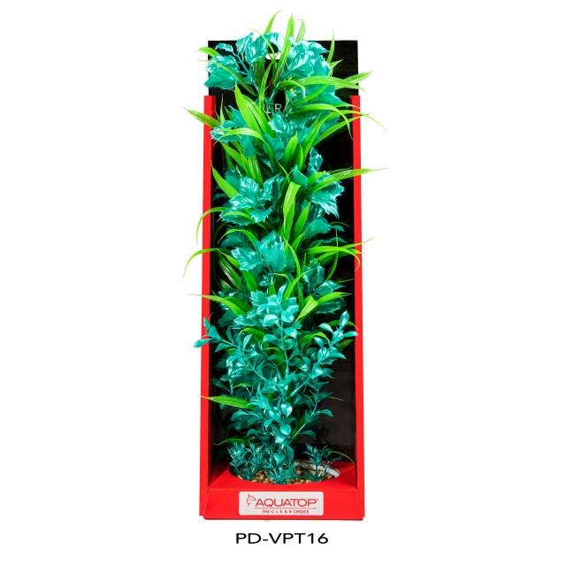 Vibrant Passion Turquoise Plant