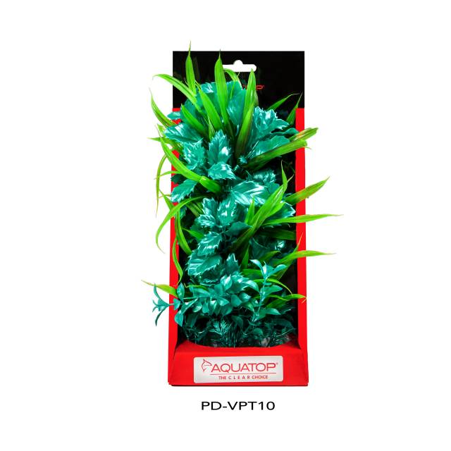 Vibrant Passion Turquoise Plant