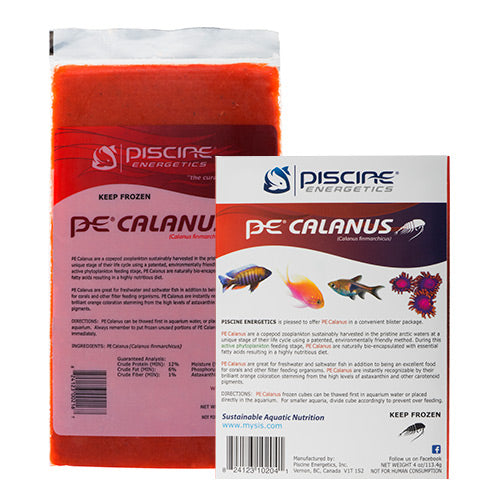 PE - Calanus