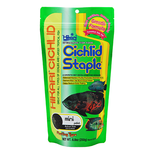 CICHLID STAPLE™ Large