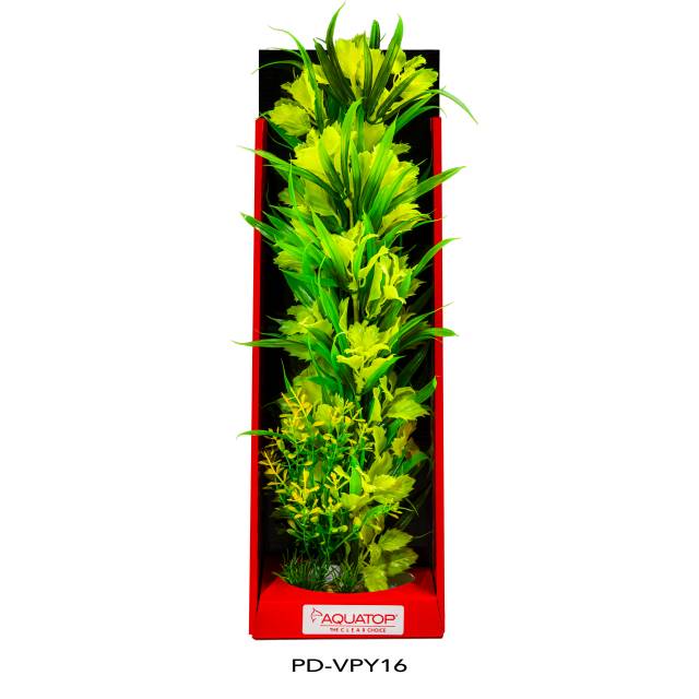 Vibrant Passion Yellow Plant