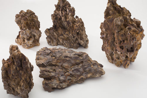 Dragon Stone Freshwater Rock