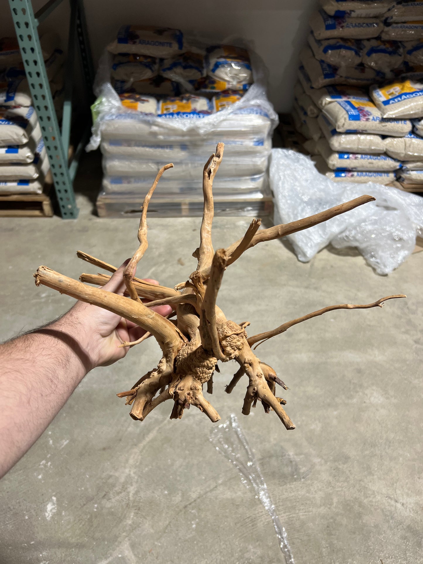Driftwood - Carolina Spider Wood