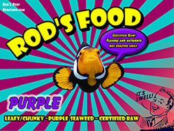 Seaweed Purple