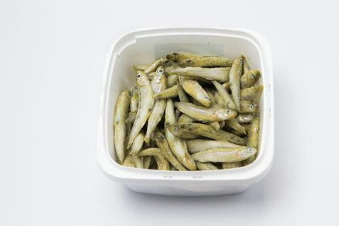 Pro Salt - Silversides